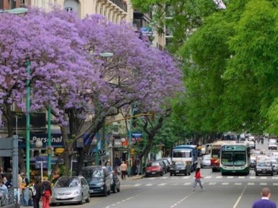 Departamento En Barrio Norte Buenos Aires Exterior foto